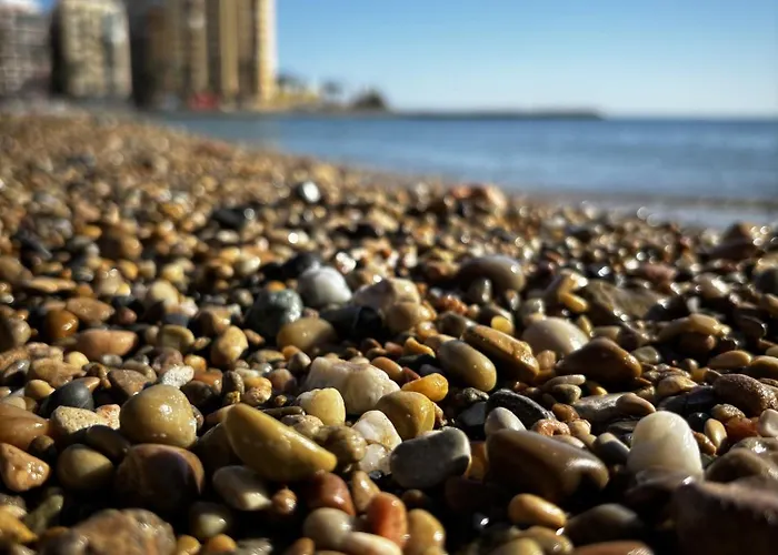 公寓 Con Piscina Y Vistas Al Mar-la Mata 托雷维耶哈
