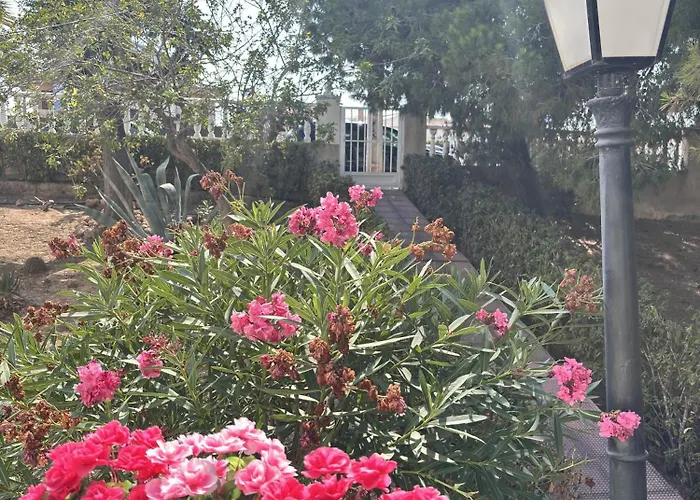 Con Piscina Y Vistas Al Mar-la Mata Torrevieja