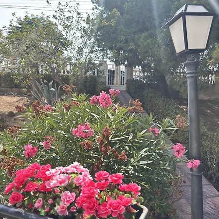 Con Piscina Y Vistas Al Mar-la Mata טורבייחה